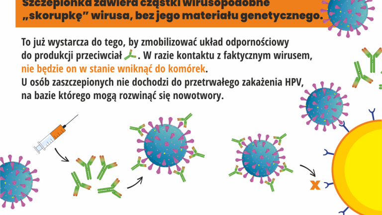 Szczepienia przeciw HPV_infograph_6.png