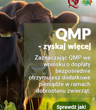 380x500px.png