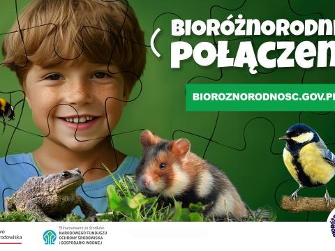 Bioróżnorodnie połączeni – edukacja ekologiczna na wakacje