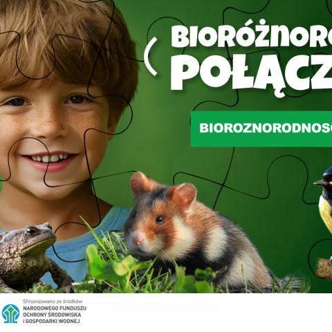 Bioróżnorodnie połączeni – edukacja ekologiczna na wakacje