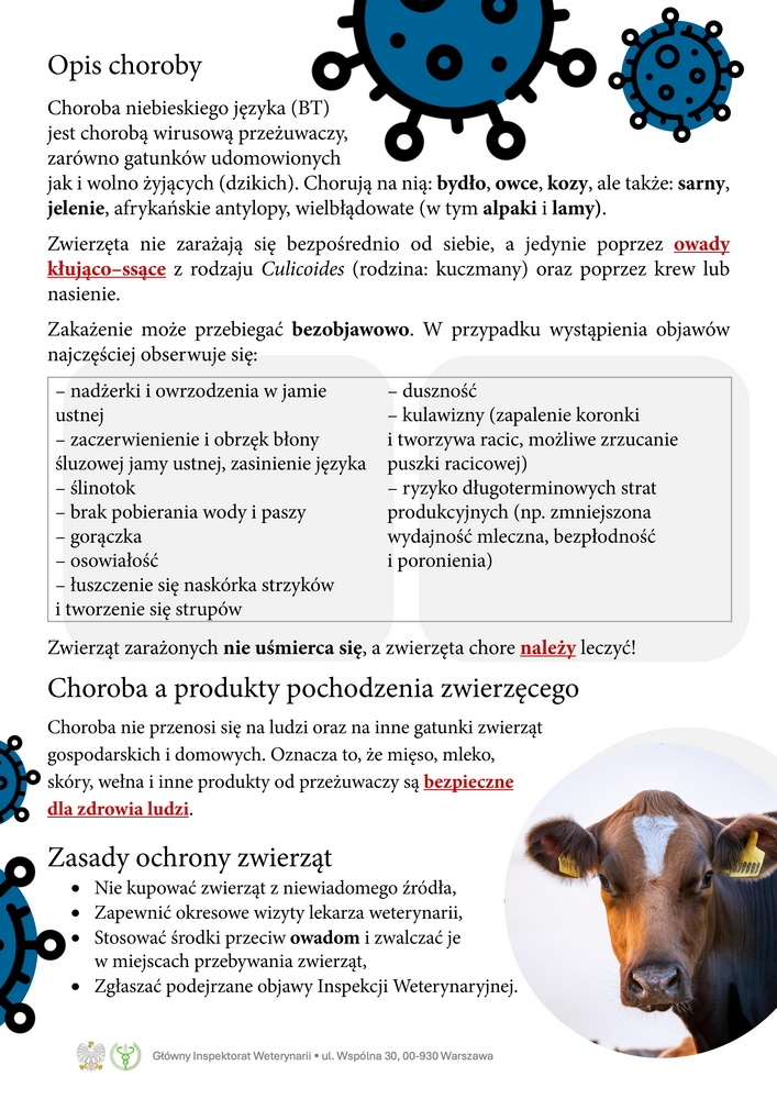 Ulotka_BTV_WOZH-str2.jpg