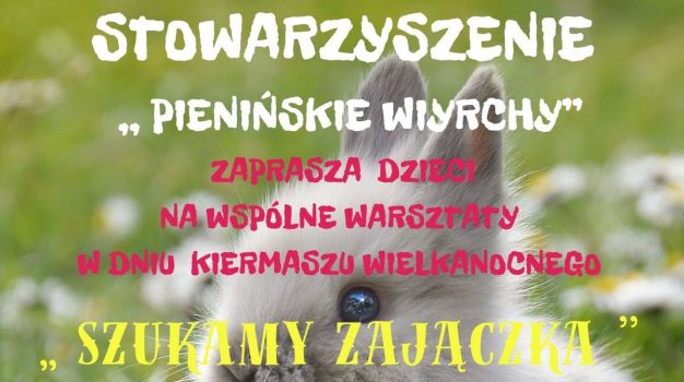 Szukamy zajączka