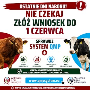 Ekoschemat „Dobrostan zwierząt” Dodatkowe pieniądze dla hodowców z QMP – tylko do 1 czerwca!